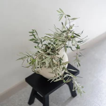 The Com - Luxury In 4*